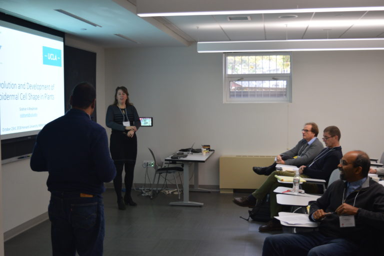 Photos of the Workshop on Morphometrics, Morphogenesis and Mathematics