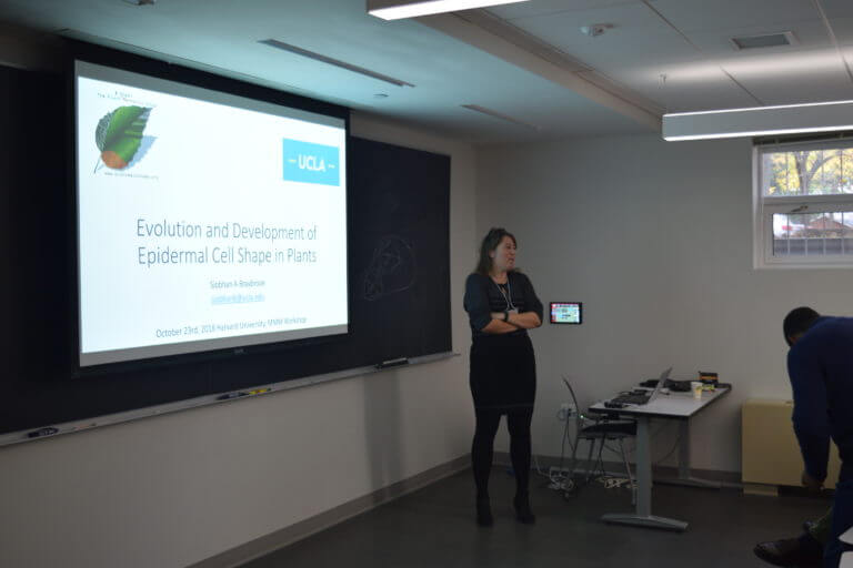 Photos of the Workshop on Morphometrics, Morphogenesis and Mathematics