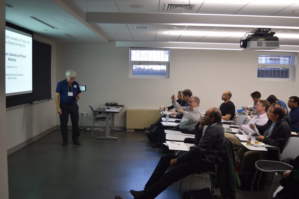 Glimpse of Workshop on Morphogenesis: Geometry and Physics