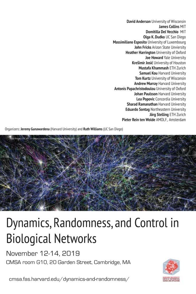 Dynamics-12-x-18-683x1024