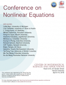 nonlinear equations