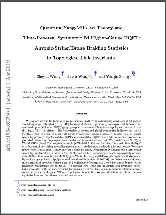 Quantum Yang-Mills 4d Theory and Time-Reversal Symmetric 5d Higher-Gauge TQFT Anyonic-StringBrane Braiding Statistics to Topological Link Invariants