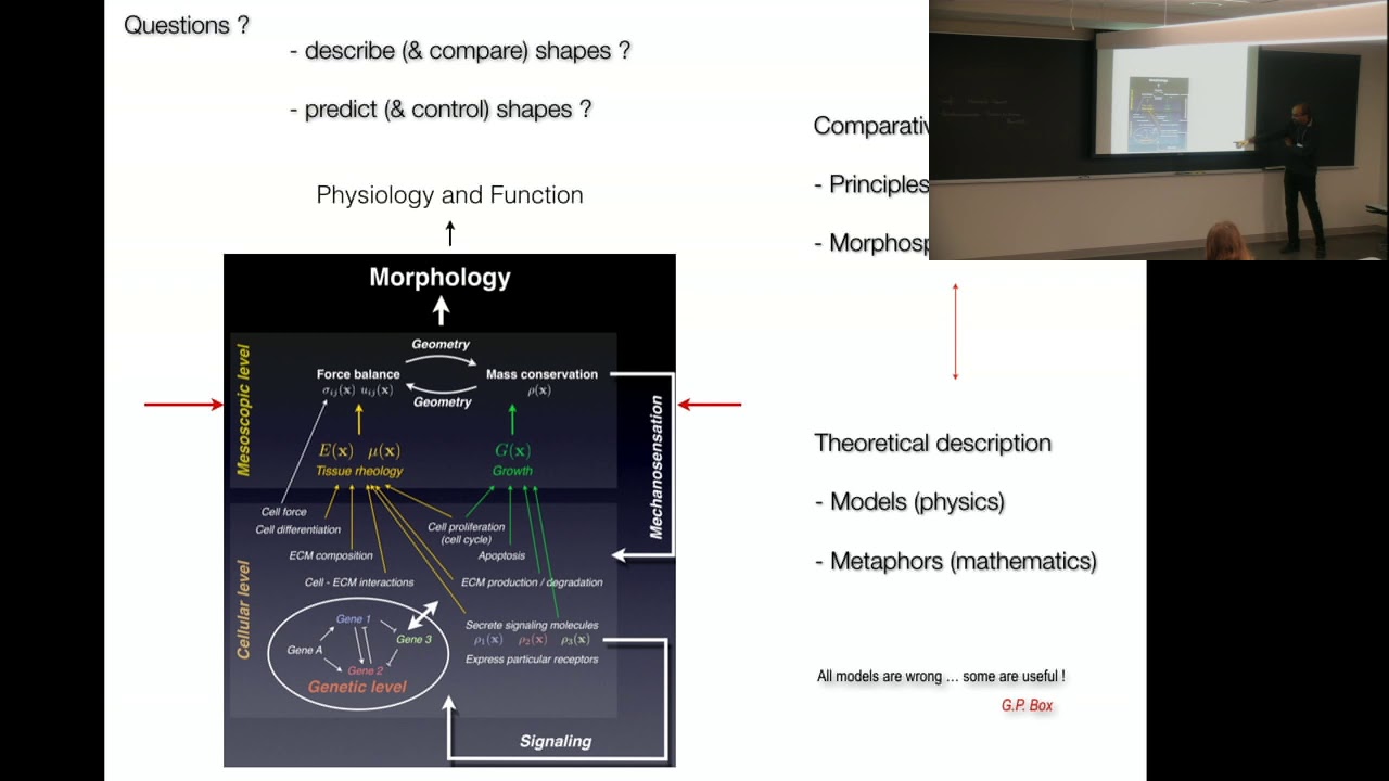 Videos from the Workshop on Morphometrics, Morphogenesis and Mathematics